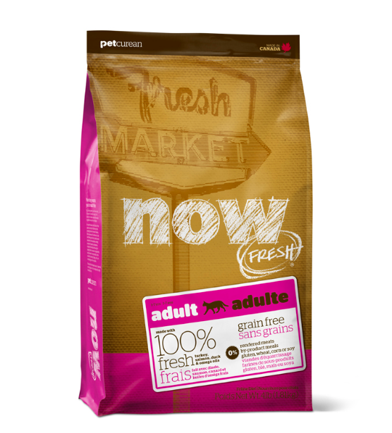 NOW לחתול בוגר 7.3 ק"ג