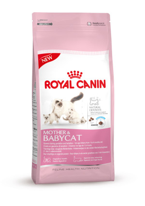 רויאל קנין בייבי קט 4 ק"ג