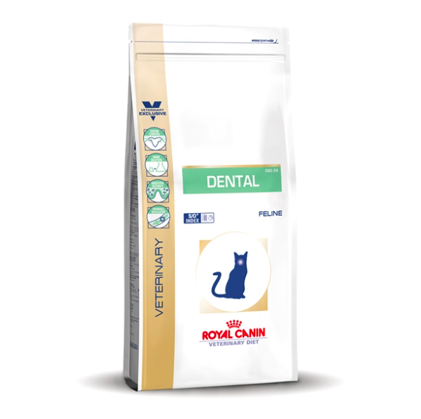 רויאל קנין דנתל לחתול רפואי 3 ק"ג