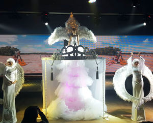 כניסת חצאית הקסם בשילוב וילון