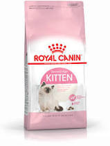 רויאל קנין קיטן 2 ק