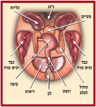 אבחון לשון לפי הרפואה הסינית
