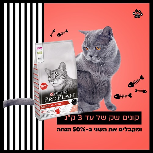 השק השני ב-50% הנחה
