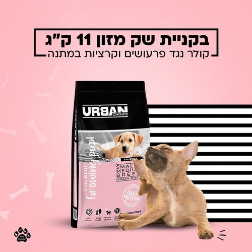 קולר נגד פרעושים במתנה