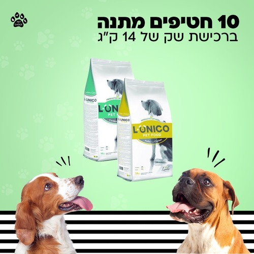 10 חטיפים מתנה