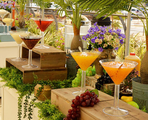 עמדת שייקים