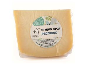 פיקורינו כבשים - משק גלילי