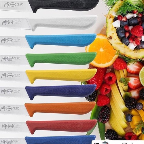 סכין ירקות רב תכליתי מעוגל 11 ס