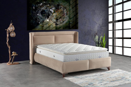 בסיס מרופד טוליפ