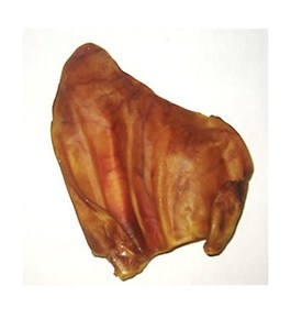 אוזן חזיר גדולה