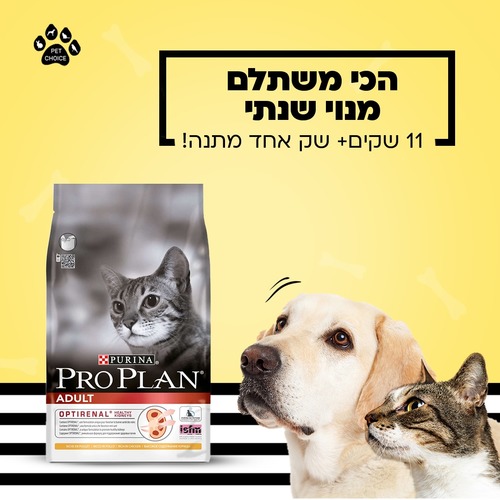 מנוי שנתי של מזון לחתול פרו פלאן - 11 שקים + שק מתנה!