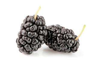 תות עץ קפוא 1 ק"ג(ללא כשרות)