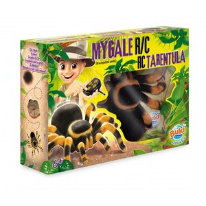 עכביש טרנטולה עם שלט מבית בוקי צרפת