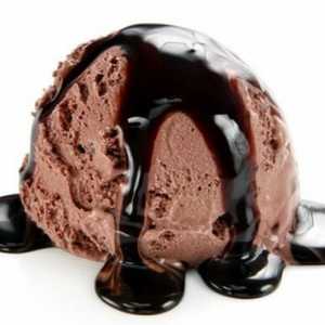 גלידת שוקולד בלגי (5 ליטר)