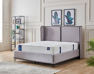 בסיס מרופד אפיק