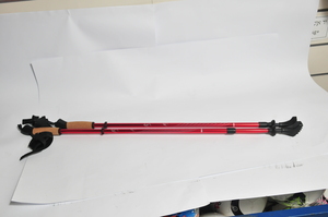 מקלות הליכה NORDIC זוג