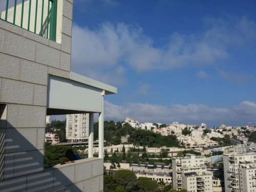 גג פאנל אלומיניום מבודד