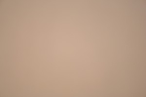 נייר משי חום שוקולד (120 יח') מס' 10